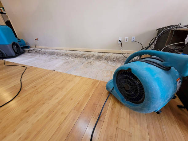 Reliable Emergency Water Removal contractor in Idlewild, MI by Hirex Water Damage