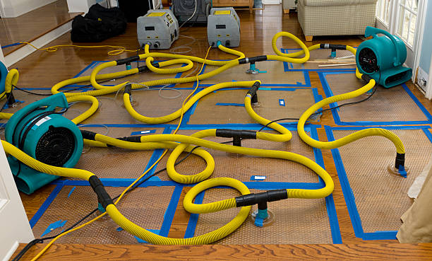 Professional Emergency Water Removal technician working in Idlewild, MI